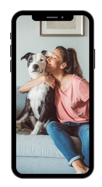 Pet Adoption App Ultimate Features